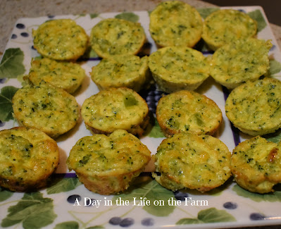 Mini Quiche