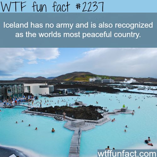 40 Amazing Random WTF Facts