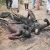 Jungle Justice: Angry Mob Burn 3 Suspected Kidnappers In Osun