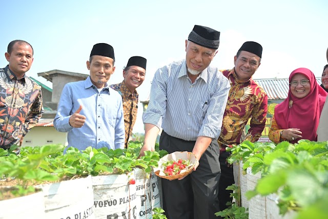 Gubernur Mahyeldi Pacu Aktivitas Pertanian Organik untuk Kesehatan Masyarakat Sumbar