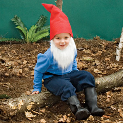 Little Bearded Gnome