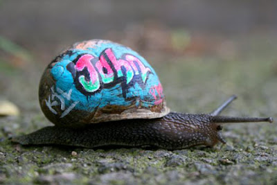 Unique Alphabet Graffiti Art On Slugs