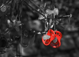 The Surprising History of Baby Pacifiers: Tracing the Inventor and Evolution of this Essential Parenting Tool