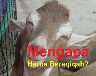 mengapa harus beraqiqah