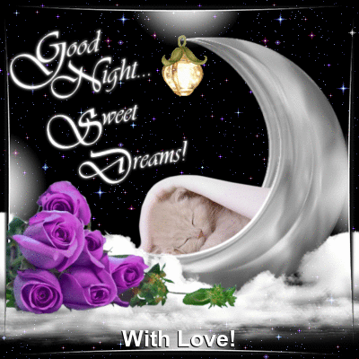Sweet Good Night Sweet Dreams GIF Picture with Cat & Pink Rose