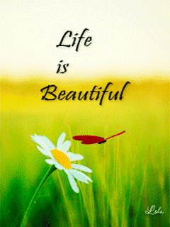 How beautiful it is how amazing it is To be able to rise up in the morning and have that sun shine on your face rather than on your grave. What makes life so unique and so beautiful