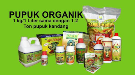 http://www.distributorpupuknasa.com/2020/08/agen-nasa-sleman-yogyakarta.html