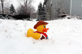 Gerald the Juxtaposed Duck sitting in snow