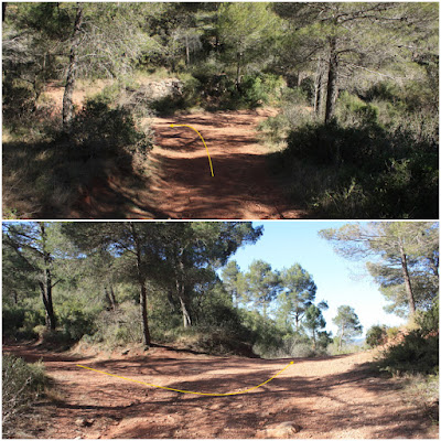 PICAMOIXONS - MIRADOR -  TURÓ D'EN MANEL - PUIGCABRER -  TORRE D'EN PETROL, carretera dels Moros