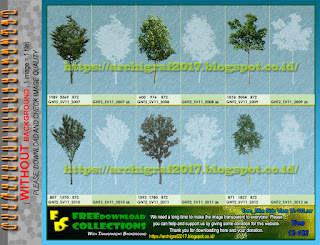 Tree Png Image, Slim Tree Side View 12-102