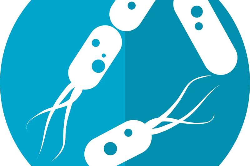 Microbiome: Impairment of gut microbial balance is linked to increased mortality following kidney and liver transplants. Microbiome: Impairment of gut microbial balance is linked to increased mortality following kidney and liver transplants.