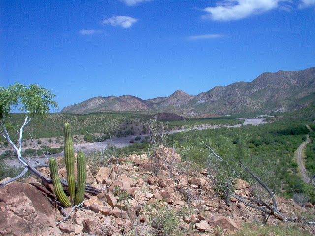 Desierto de Sonora, Turismo Taruk