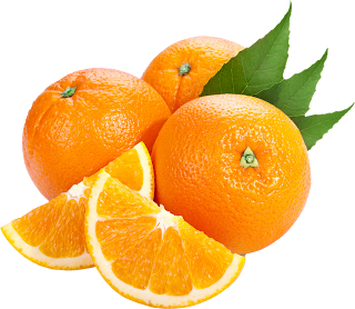 Health and Nutrition: Health Benefits of Oranges