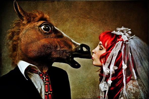 Dennis Ziliotto fotografia surreal macabra histórias de amor porco cabeça cavalo