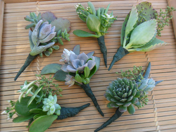 Succulent bridal bouquets corsages and boutonnieres are an affordable 