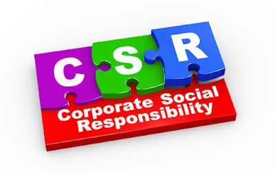 synapseindia csr