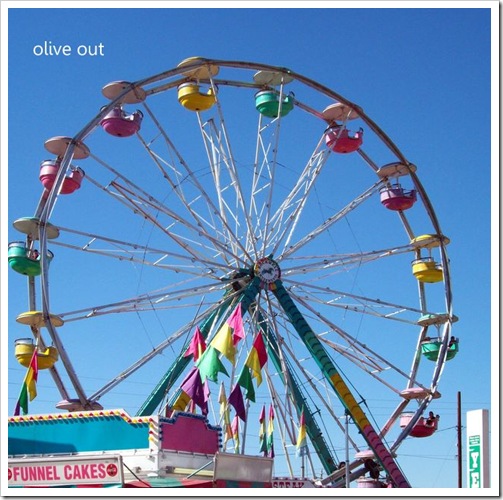fair 016