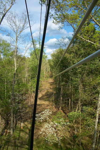 Zip Line at Shenandoah River State Park