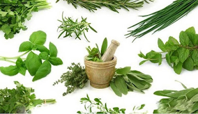manfaat-herbal-bagi-kesehatan-tubuh