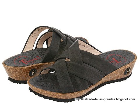 Calzado tallas grandes:grandes-779690