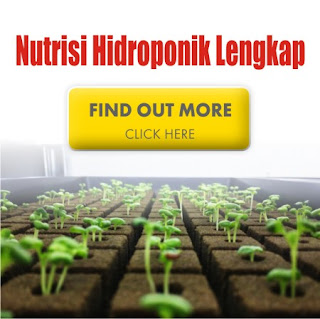 Nutrisi Hidroponik Lengkap