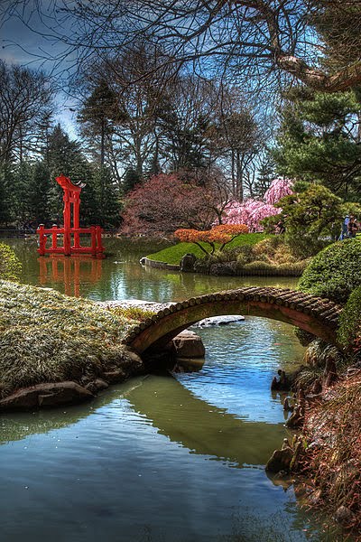 amore gardens. The Brooklyn Botanical Gardens