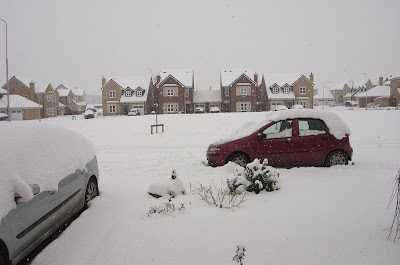 heavy snowstorm in New Zealand