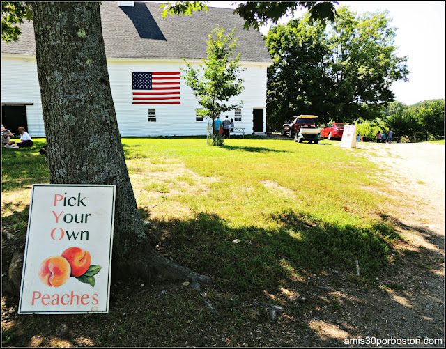 Granjas de Helados en Massachusetts: Smolak Farms