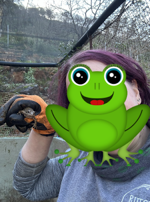 Picture holding a frog