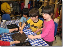 planting seeds 2011-03-28 001