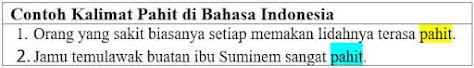 24 Contoh Kalimat dengan kata Pahit di Bahasa Indonesia dan Pengertiannya