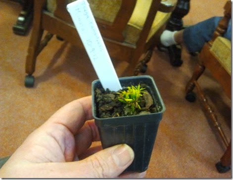 DTL Herbs LTD