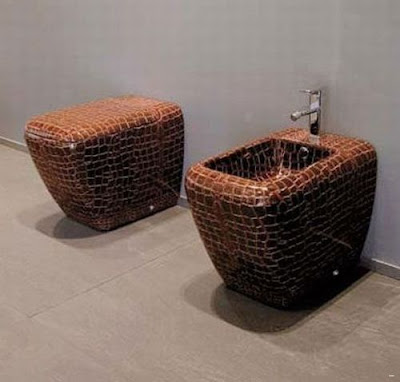 unusual toilets