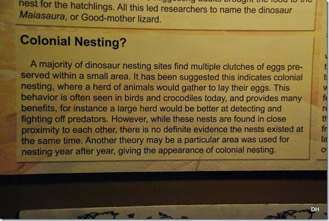07-12-14 B Wyoming Dinosaur Center (201)