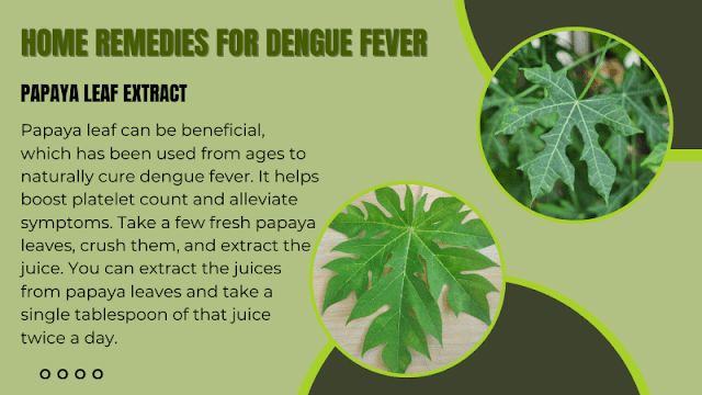 Home Remedies for Dengue fever