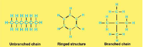 FSc Biology Part 1 XI 11th Chapter 2 Biological Molecules Notes