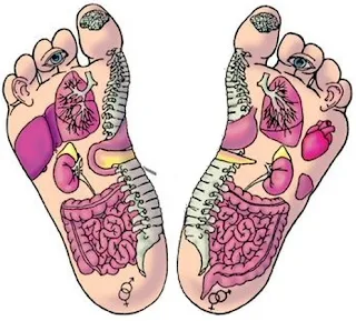 reflexology 