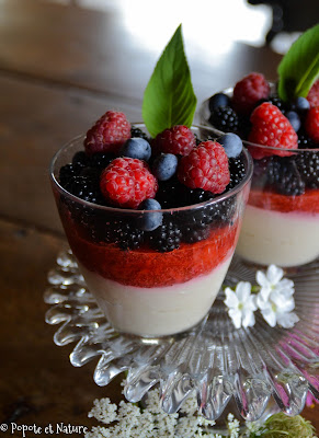 Crème au tofu soyeux et fruits rouges (sans lait) © Popote et Nature