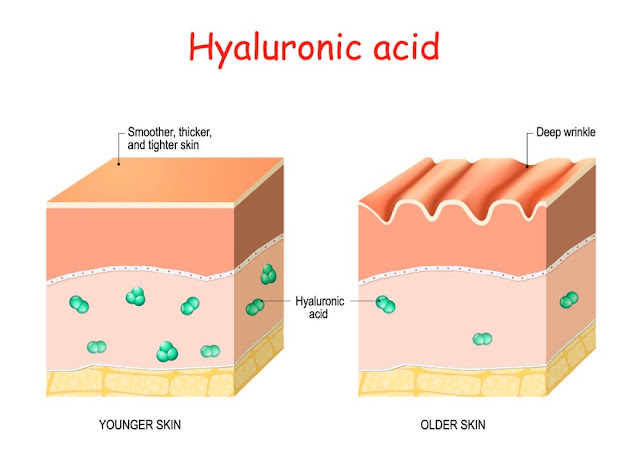 Skin dehydration prevention - Hyaluronic acid