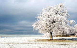 Ετοιμαστείτε για την έλευση του χειμώνα.simplynaturallyyou.blogspot.gr