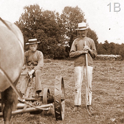 Farm life_0002-2
