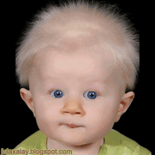 Terbaru Gif Anak Kecil Joget Lucu Gif Lucu