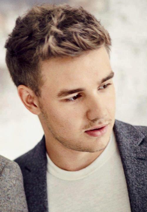 Liam Payne HairStyle Men HairStyles