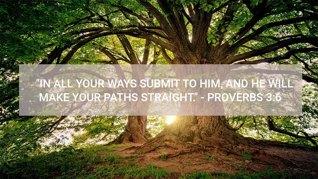 "In all your ways submit to him, and he will make your paths straight." - Proverbs 3:6