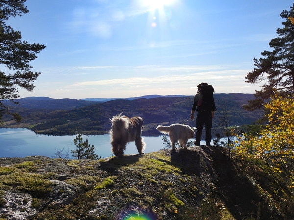 greensåsen krødsherad