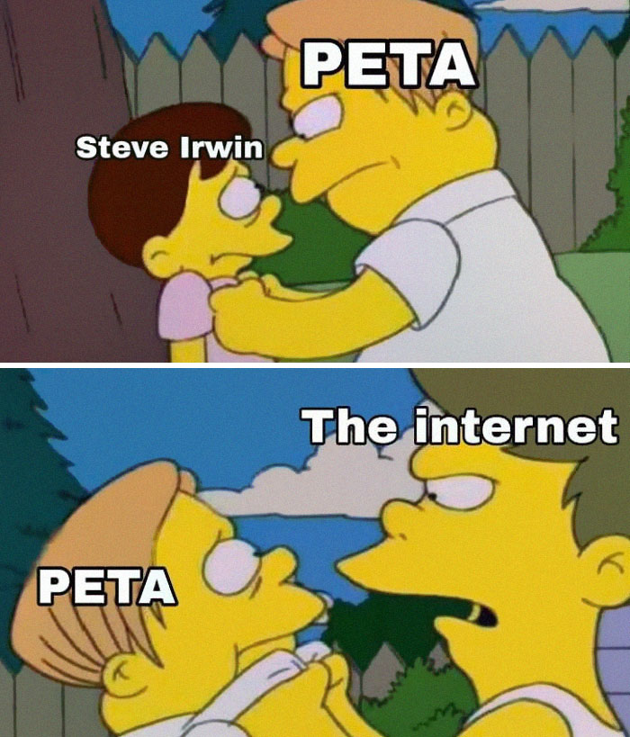 30 Epic Reactions To PETA 's Criticism To Steve Irwin