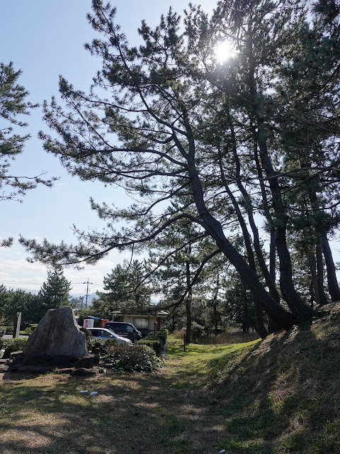 鳥取県東伯郡湯梨浜町橋津　長瀬公園