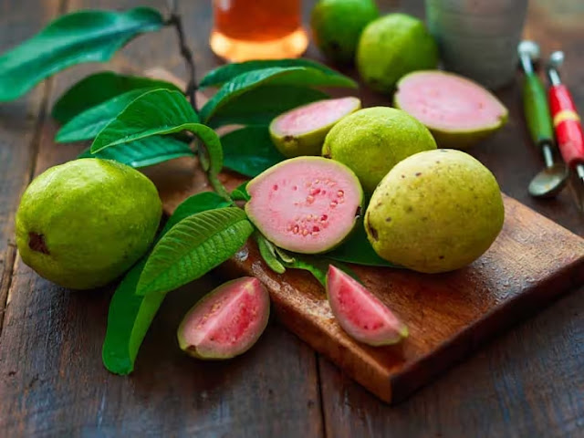 Medicinal Plants For Diabetes, Guava