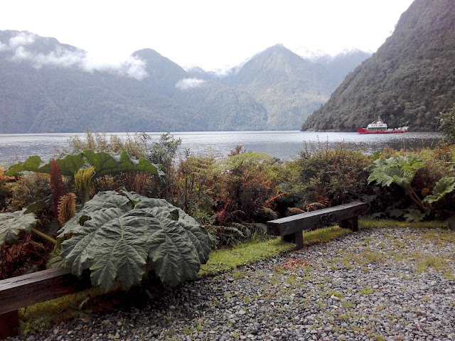 Caleta Gonzalo, Fiordo Reñihué, Parque Pumalín, Chile