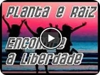 Planta e Raiz - Encontre a Liberdade